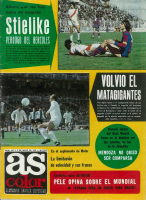 AS Color Nº 363.pdf